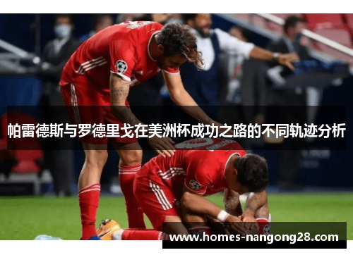 帕雷德斯与罗德里戈在美洲杯成功之路的不同轨迹分析