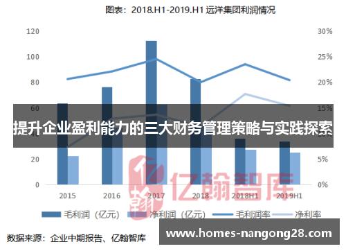 提升企业盈利能力的三大财务管理策略与实践探索