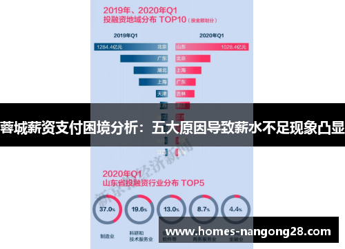 蓉城薪资支付困境分析：五大原因导致薪水不足现象凸显