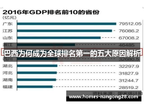 巴西为何成为全球排名第一的五大原因解析